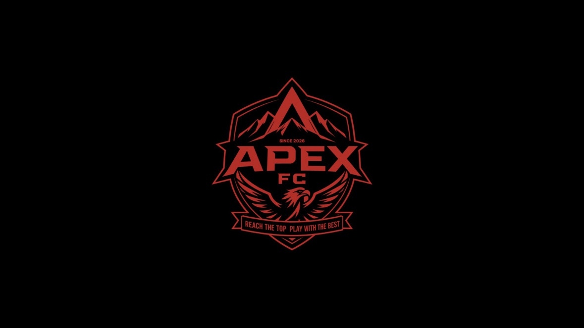 FC APEX 축구/풋살/족구 대표 이미지 2