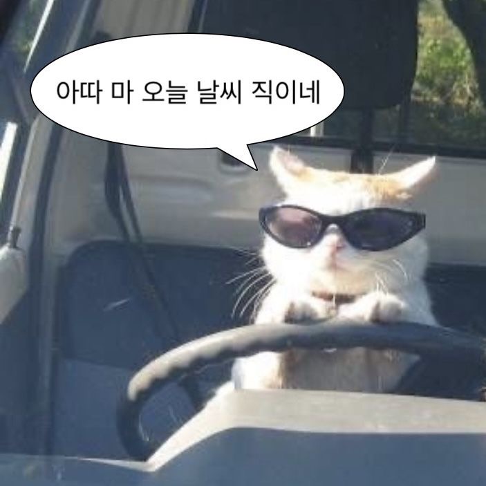 무료레슨 담담쌤의 보컬 클래스! 노래/보컬 대표 이미지 5
