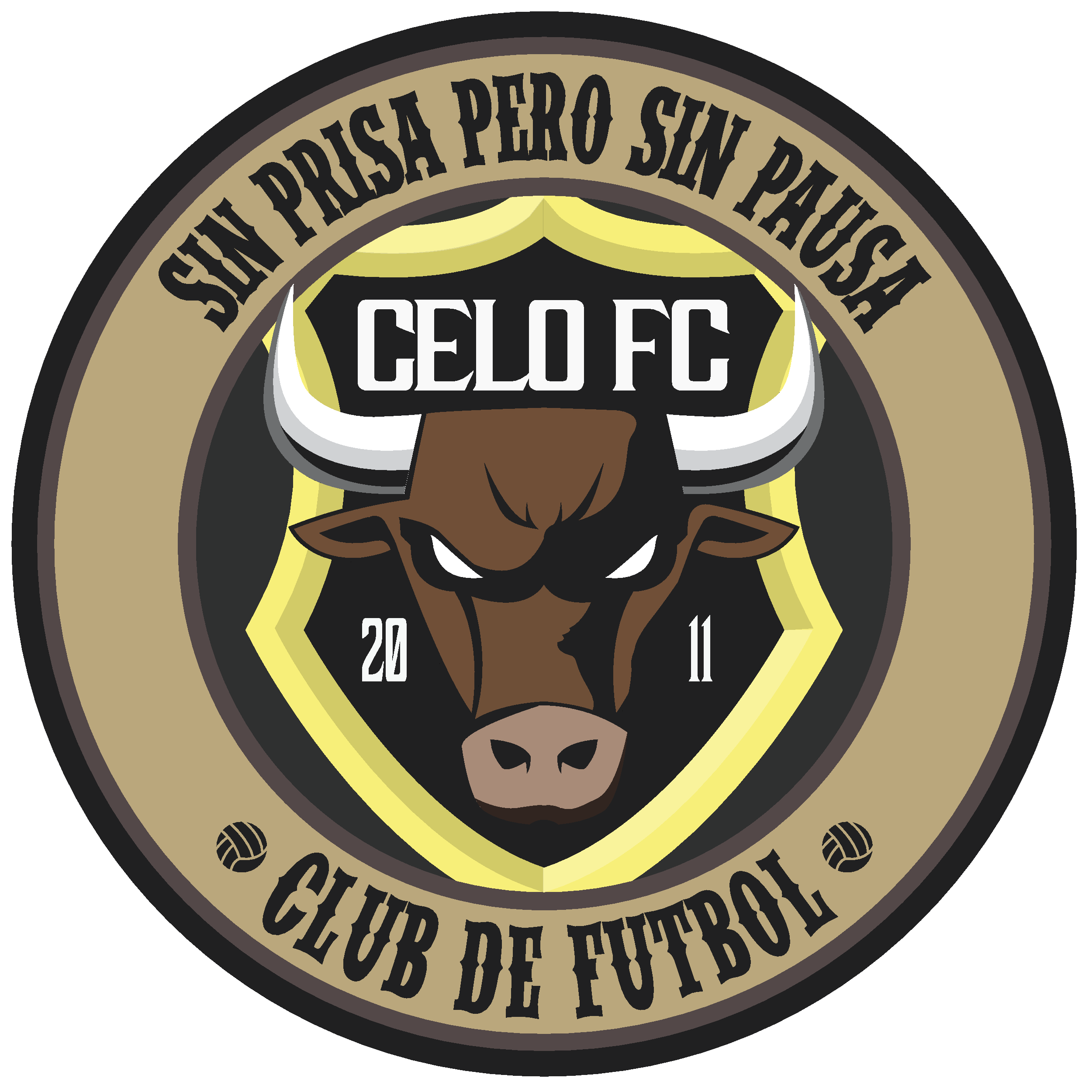 CELOFC - 대구 축구/풋살/족구 모임 이미지