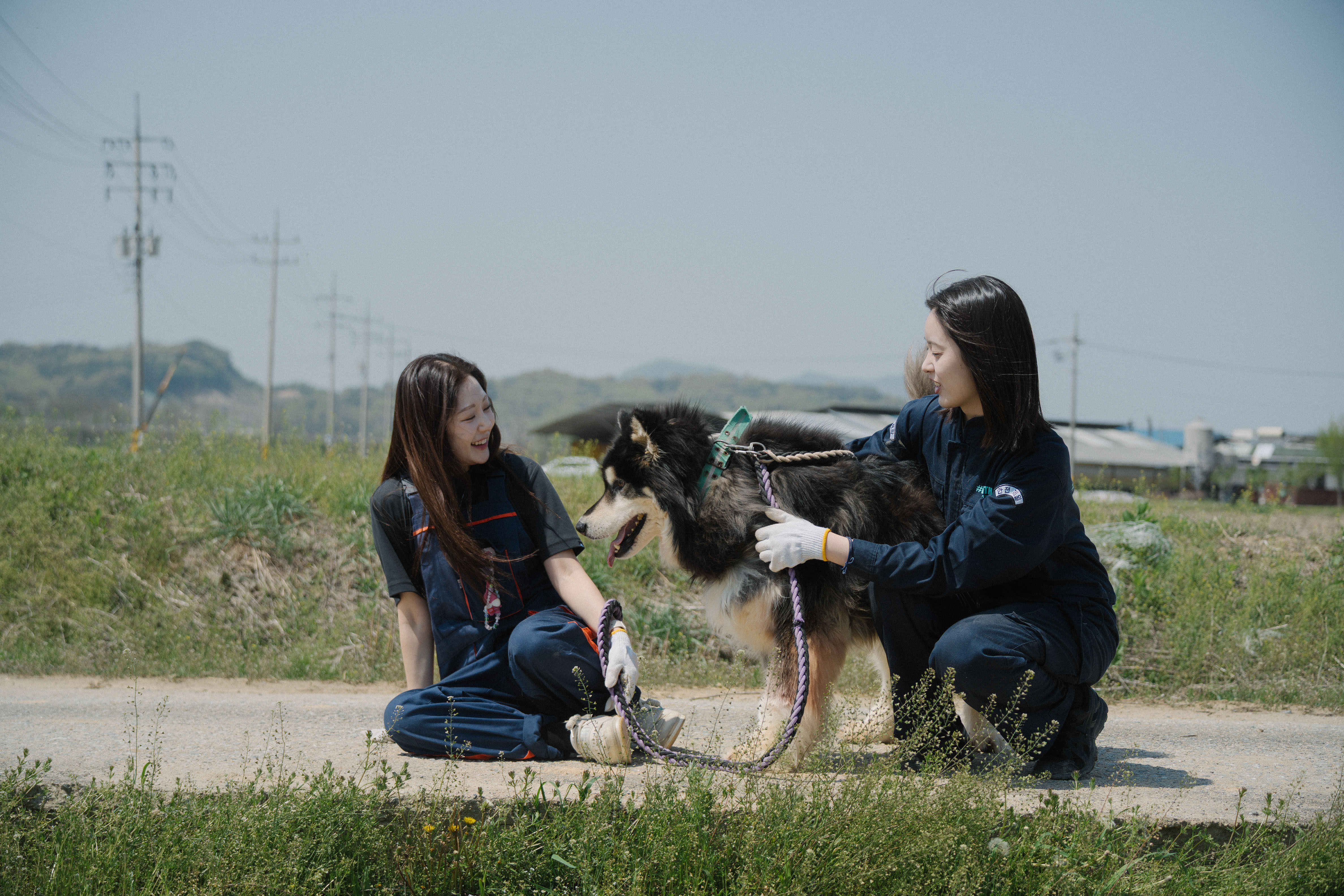 유기견 봉사 동아리 리플_이미지