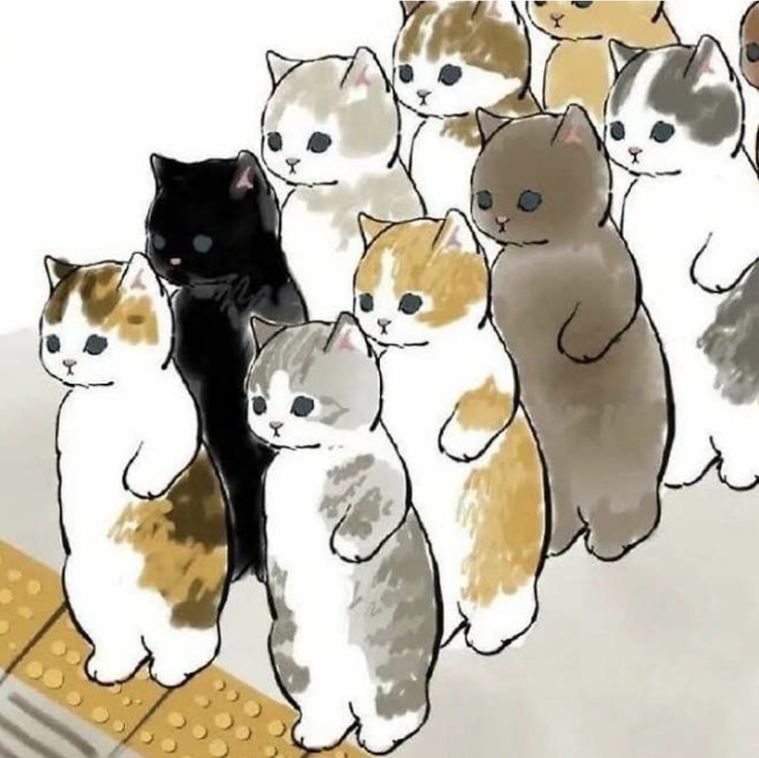 토요일 스터디 모집해요 영어 대표 이미지