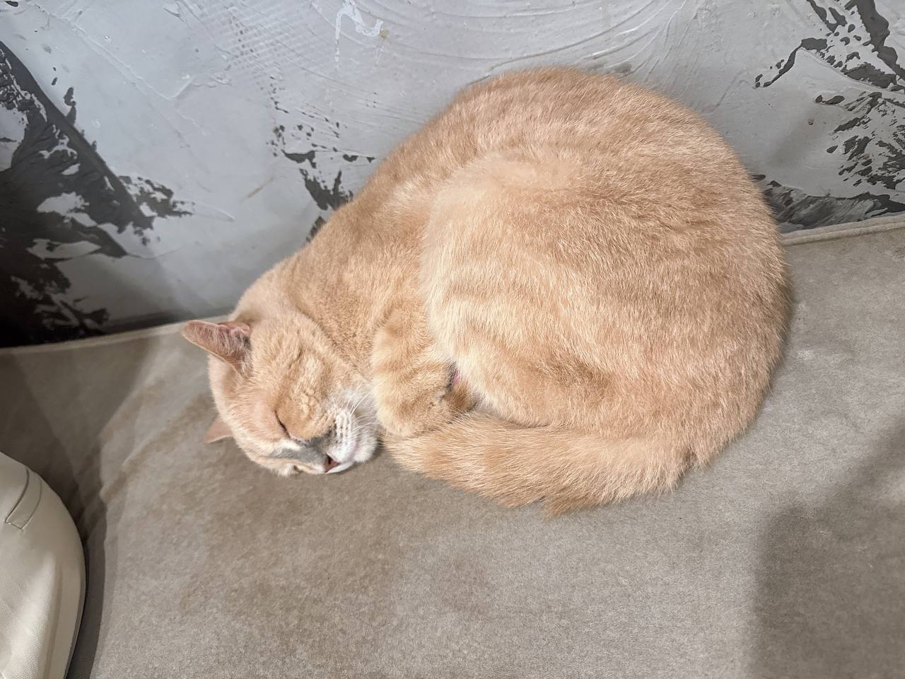 모임_이미지_2