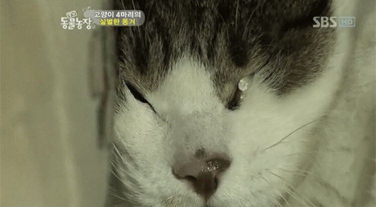 보드게임카페가실분_이미지