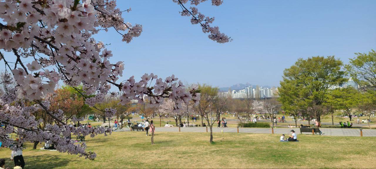 모임_이미지_4