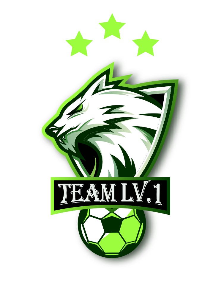 TEAM LV1 - 경기 축구/풋살/족구 모임 이미지