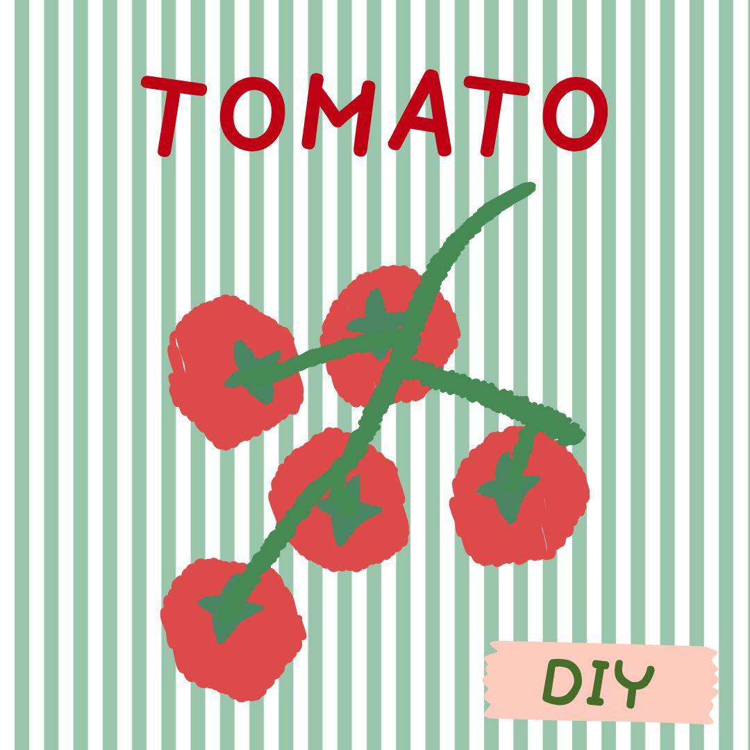 토마토 - 일반공예 모임 이미지